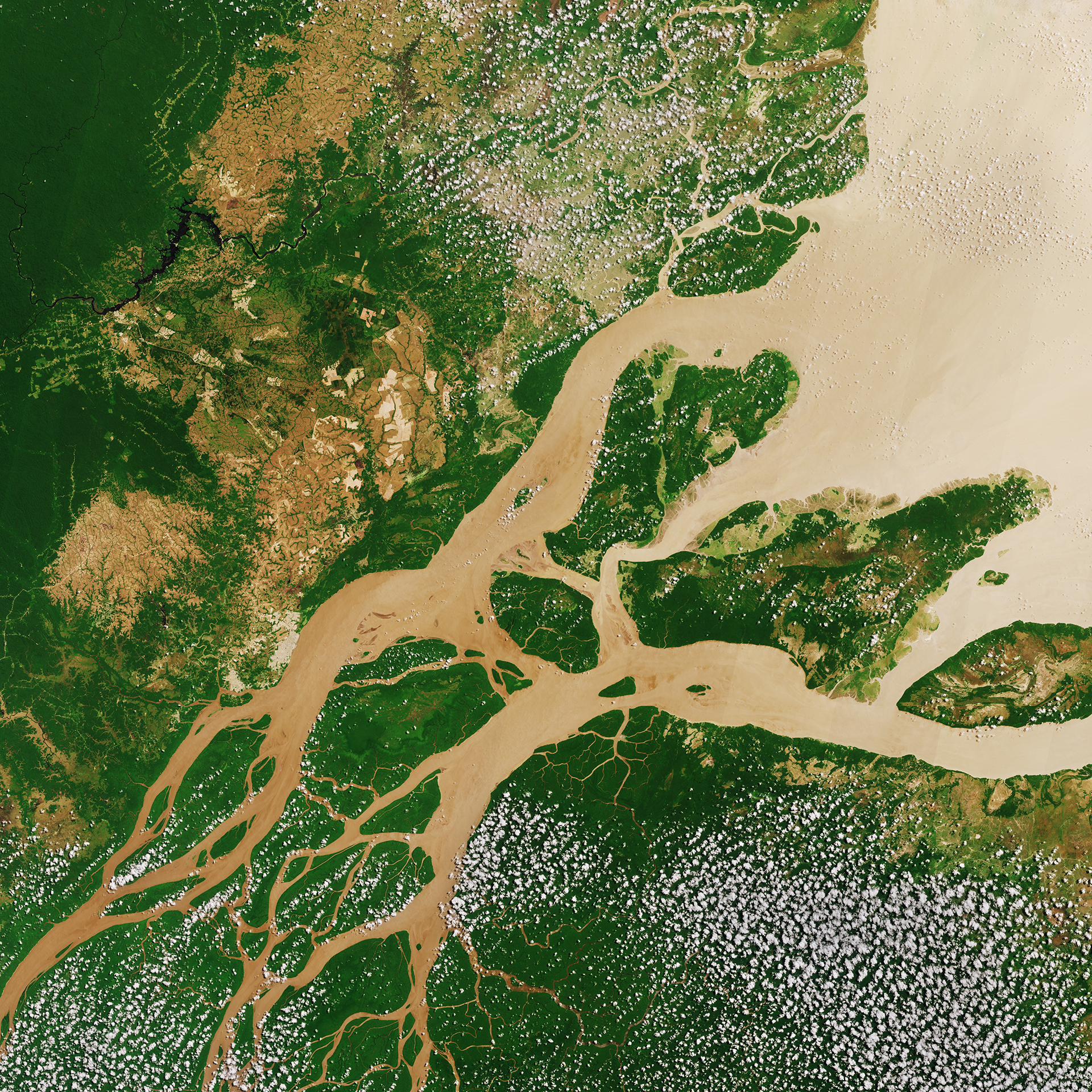 Foz do Rio Amazonas — Copernicus Sentinel